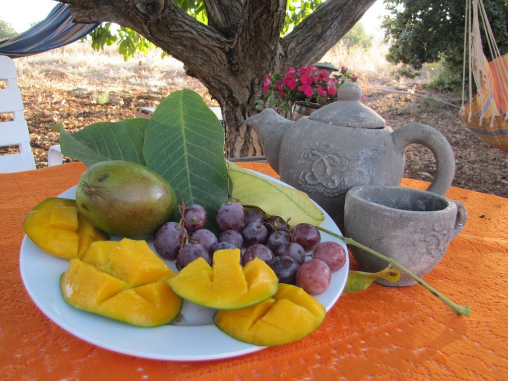 Beit Shapira Guest House Kefar Shammay Eksteriør bilde